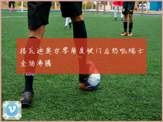 格瓦迪奥尔零角度破门后怒吼瑞士全场沸腾