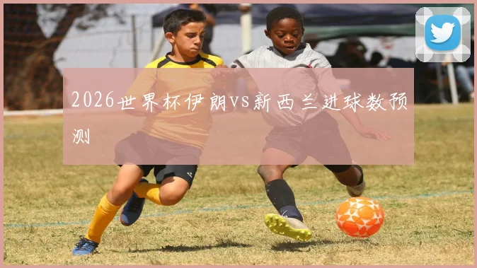 2026世界杯伊朗vs新西兰进球数预测