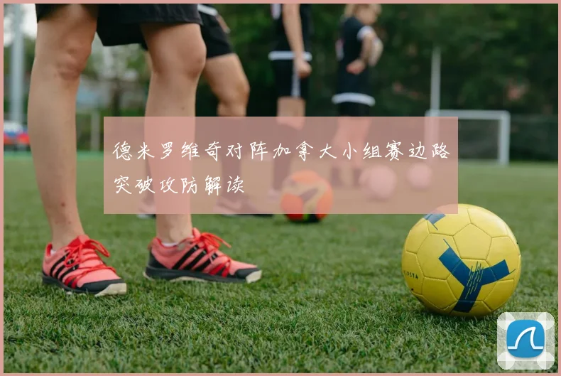德米罗维奇对阵加拿大小组赛边路突破攻防解读